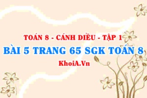 Bài 5 trang 65 SGK Toán 8 tập 1 Cánh Diều
